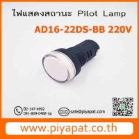 AD16-22DSA-BB 220V รูปโชว์